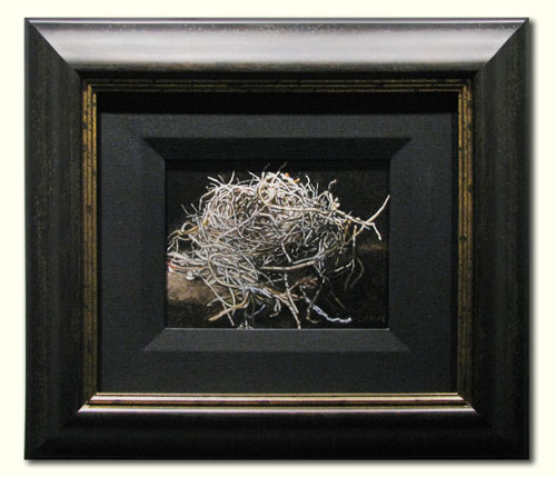 Nest I