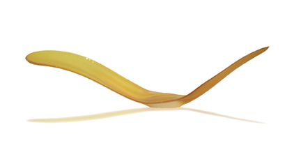Brilliant Gold Camber