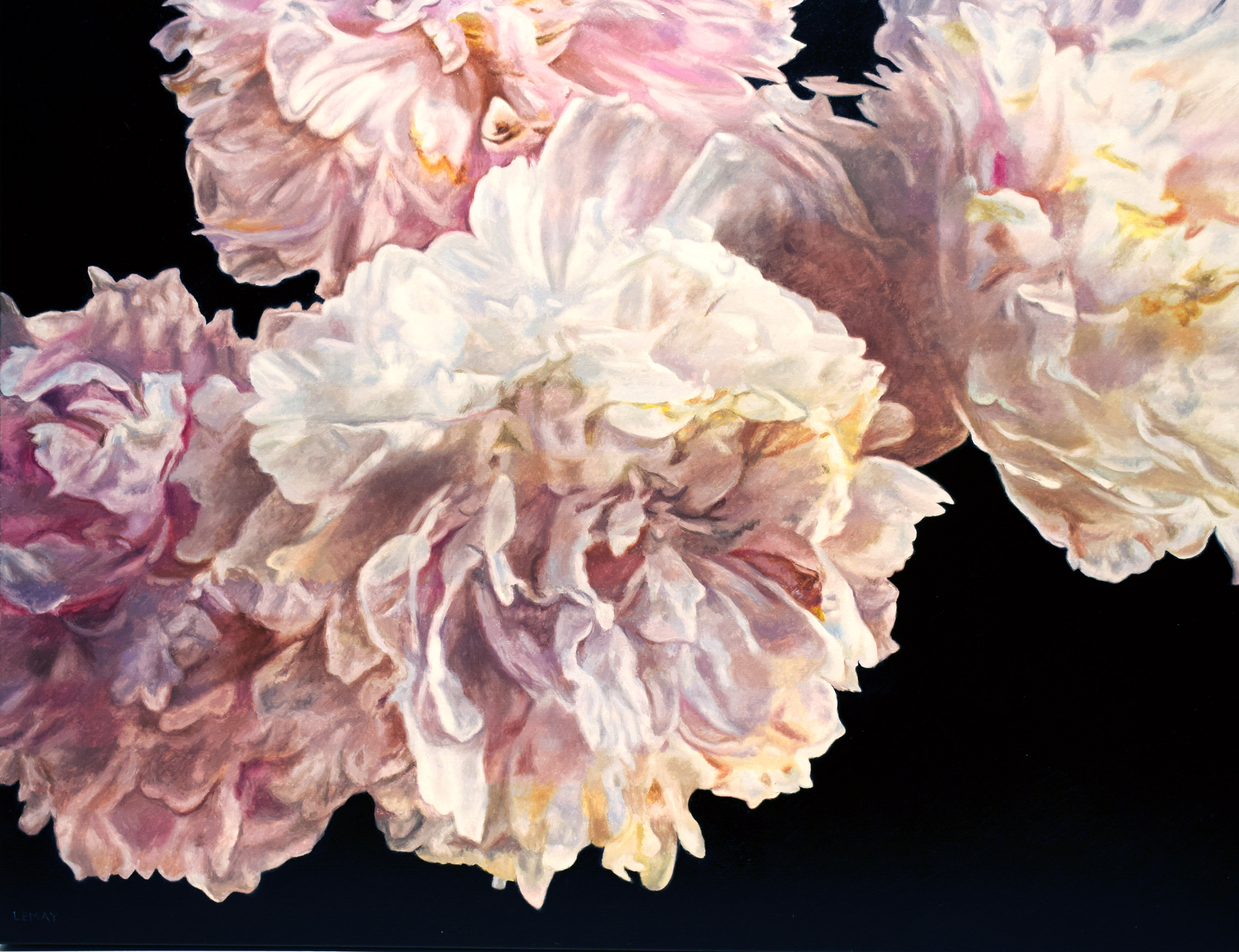 Peonies