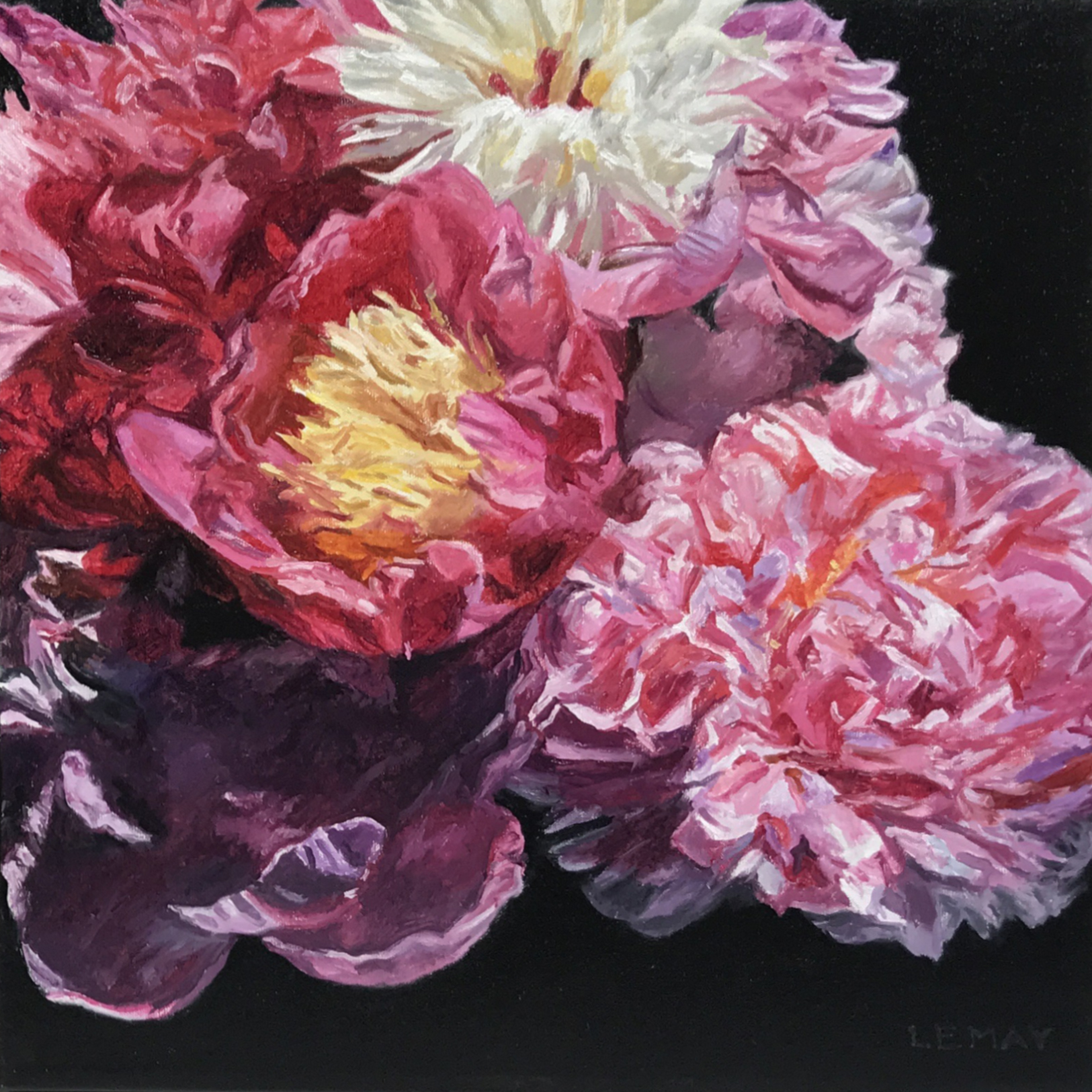 Peony Study