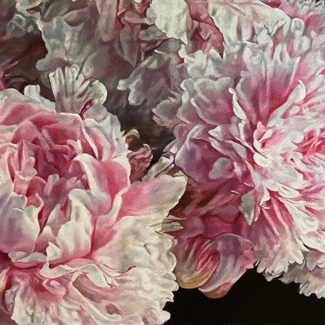 Pink Peonies