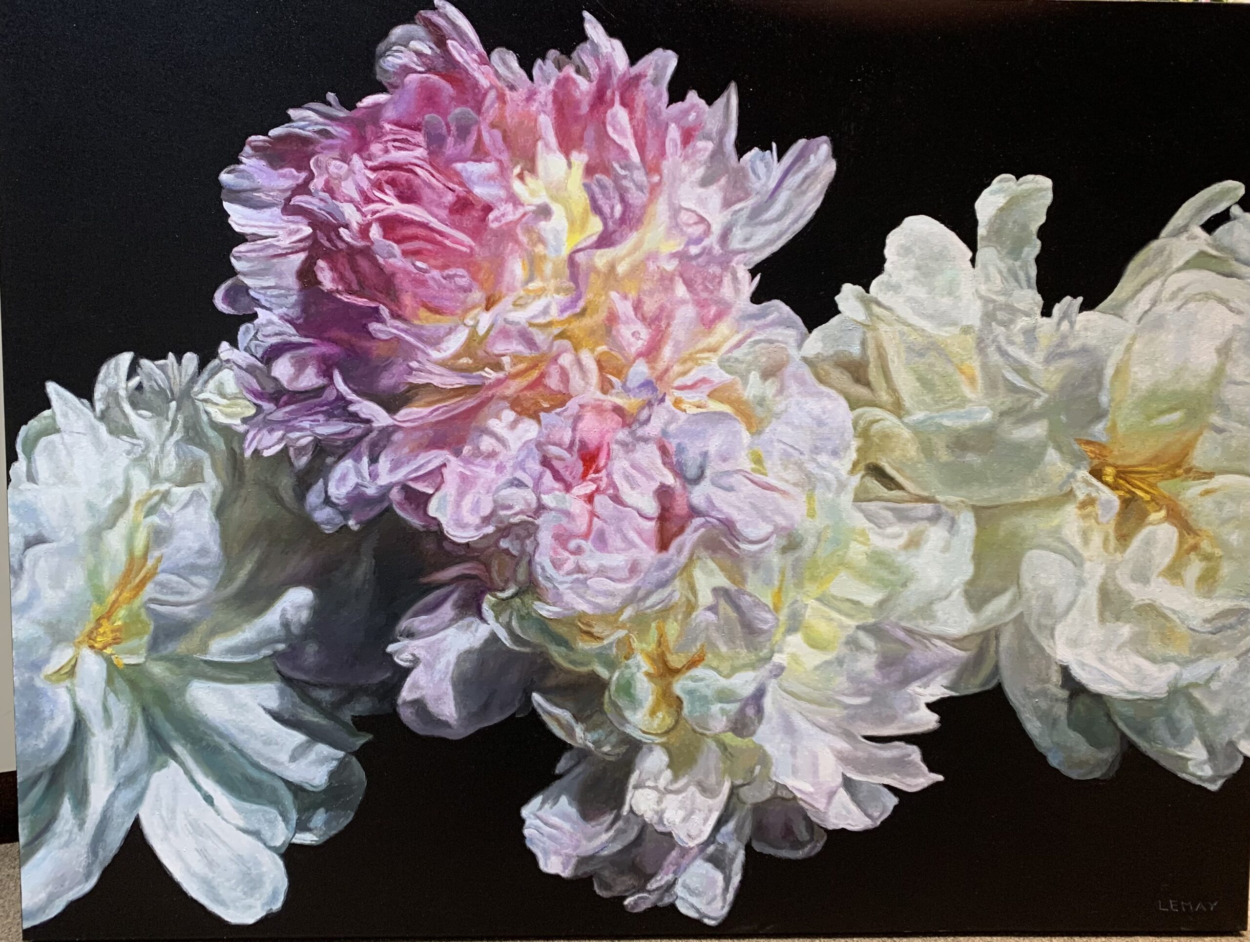 White on Pink Peonies